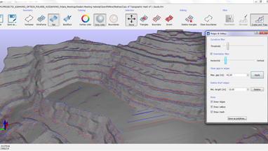 RECONSTRUCTOR_CRESTS & TOES DETECTION